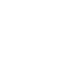 secure checkout icon