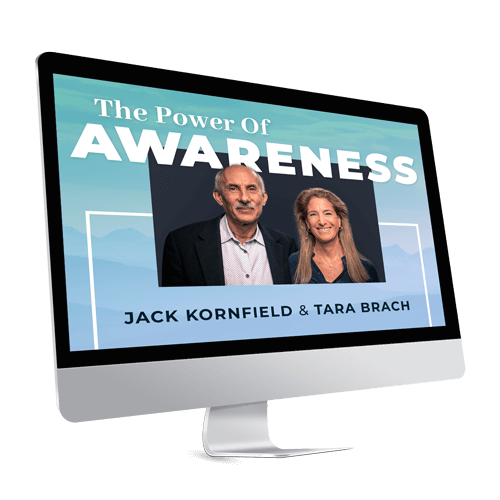 imac computer showing tara brach and jack kornfield power of awareness