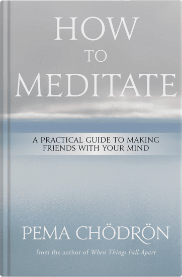 BK02895-How-To-Meditate-mockup