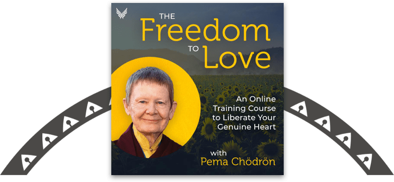 Cover of Pema Chӧdrӧn’s The Freedom to Love online course, placed on top of a decorative motif.