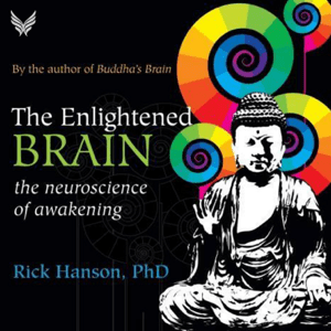 The Enlightened Brain