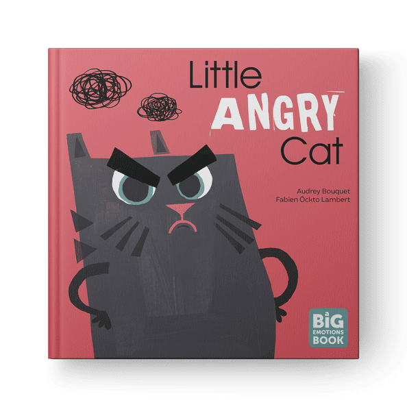 Little Angry Cat