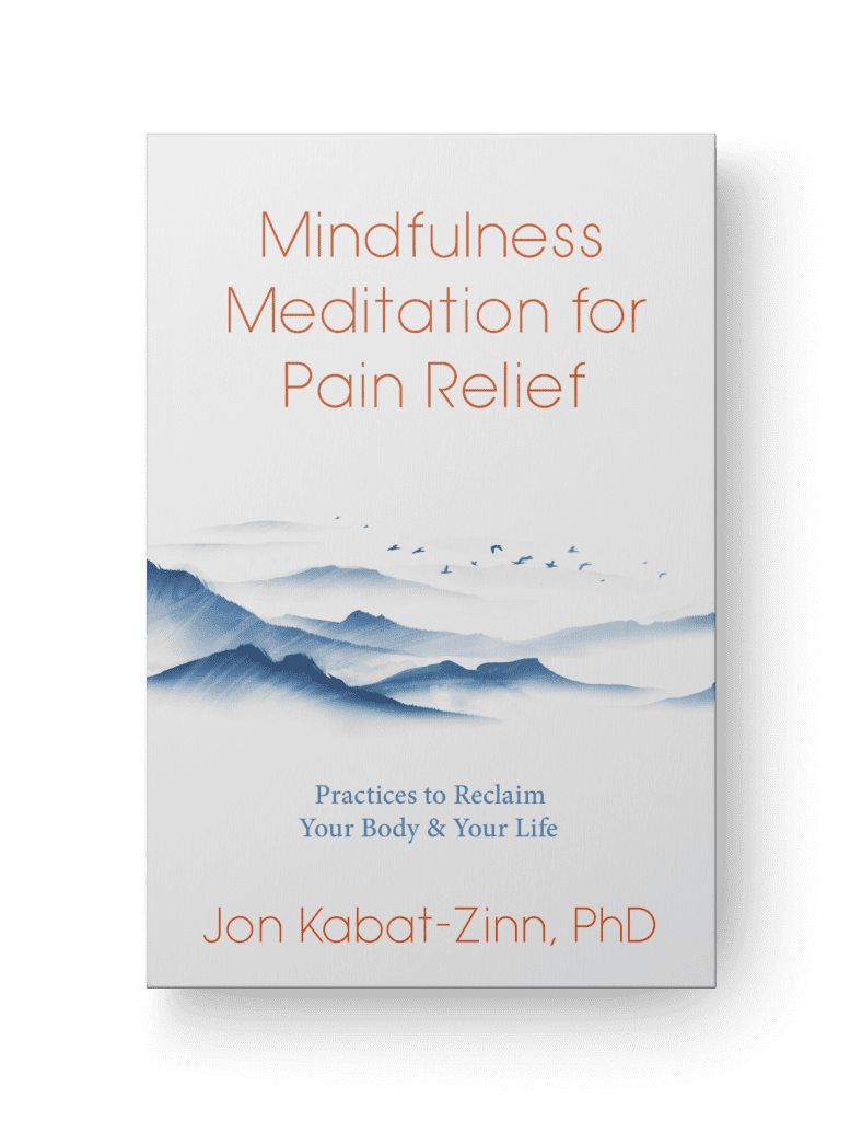 Cover of the book Mindfulness Meditation for Pain Relief